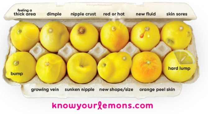 Know Your Lemons