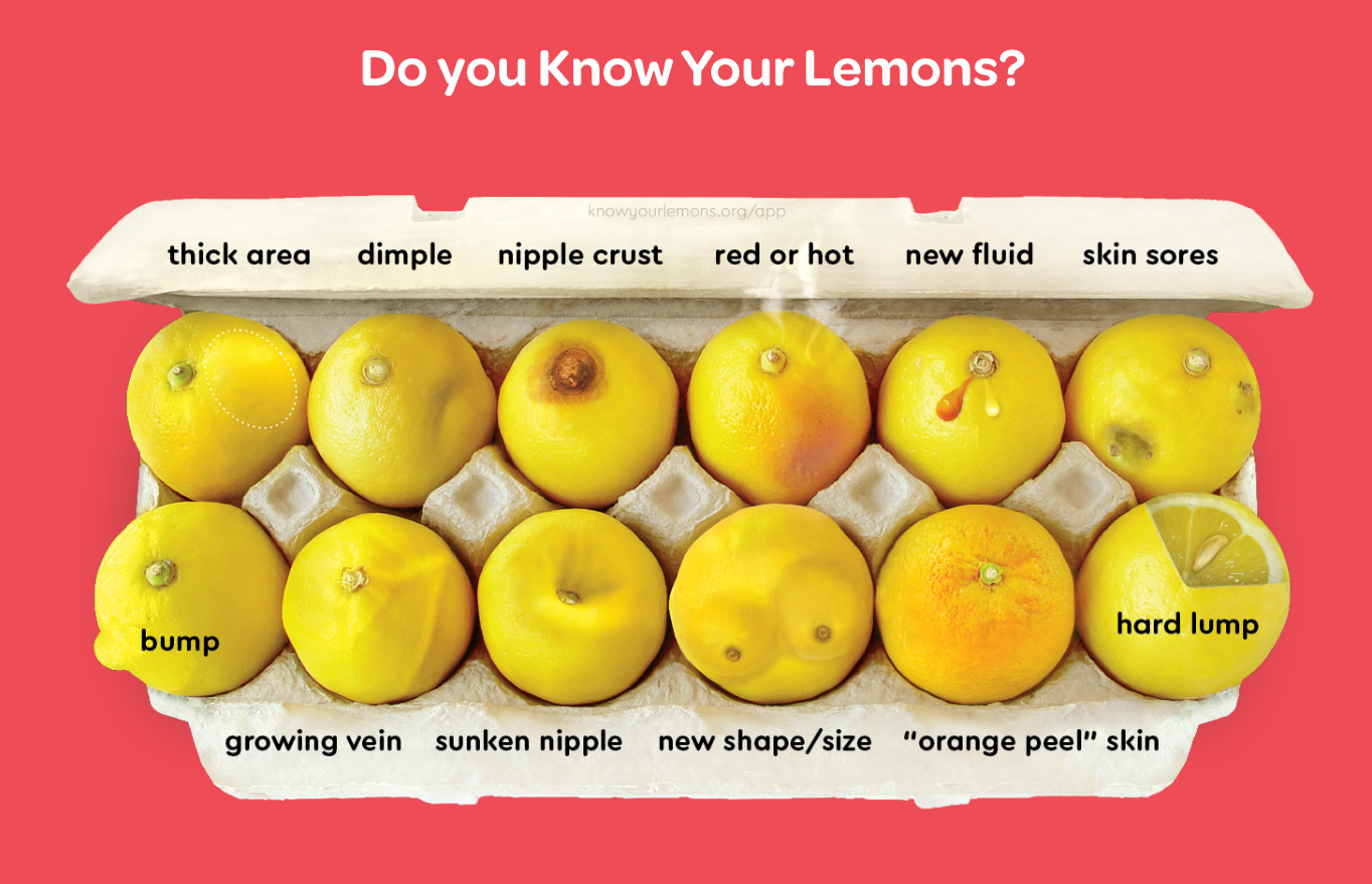 know-your-lemons-feature